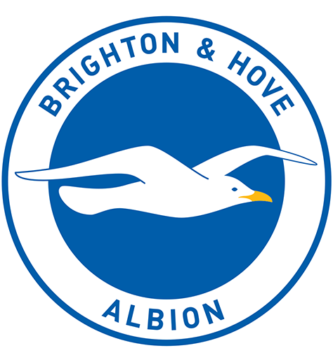 Brighton Football Club Kit / Premier League 2023-2024 / DLS 2025 0