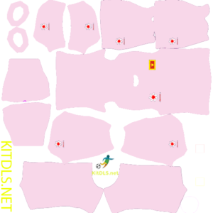 Kit Việt Nam Dream League Soccer 25 0