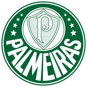 SE Palmeiras Kit / Brasileirão 2024 / DLS 2025 0
